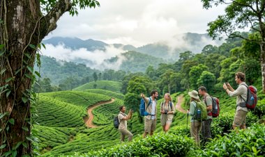വയനാട്ടിൽ വിനോദസഞ്ചാര കേന്ദ്രങ്ങൾ തുറന്നു