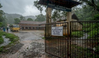 മേപ്പാടി പഞ്ചായത്തിൽ വിവിധ വാർഡുകളിലെ സ്കൂളുകൾക്ക് ഇന്ന് അവധി