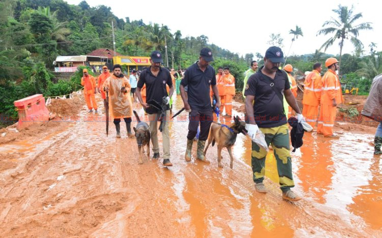 കള്ളാടി ദുരന്തഭൂമി സന്ദർശിച്ചു മന്ത്രിമാരായ കെ.എം ഷാജിയും സണ്ണി ജോസഫും മരണം ഏഴായി