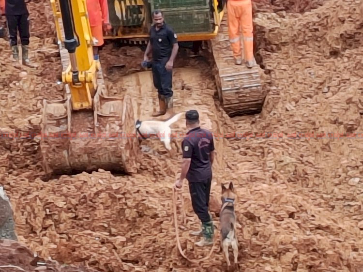കള്ളാടി മണ്ണിടിച്ചിൽ ഹിമാചൽ സ്വദേശിക്കായുള്ള തിരച്ചിൽ തുടരുന്നു മേപ്പാടി ചൂരൽമല റോഡിൽ നാളെ ഗതാഗത നിയന്ത്രണം