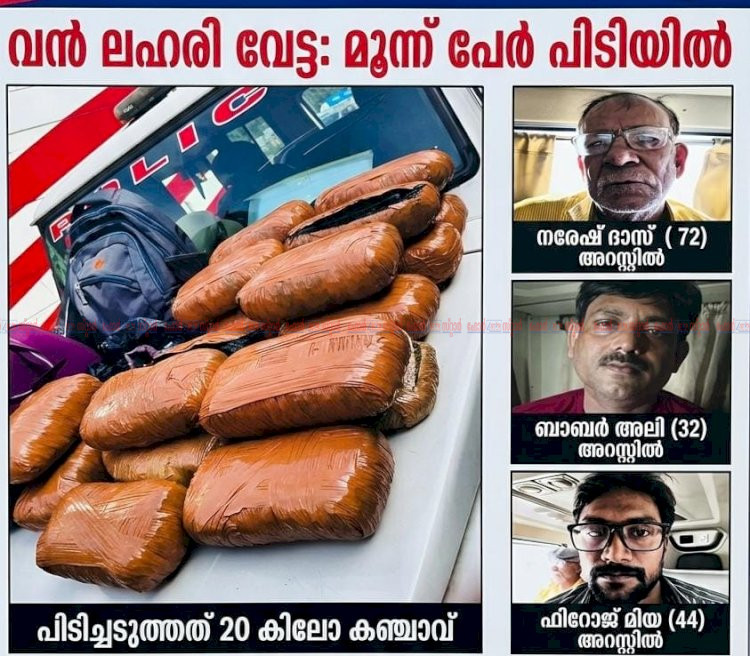 20 കിലോ കഞ്ചാവുമായി മൂന്ന് ഇതരസംസ്ഥാന തൊഴിലാളികൾ പിടിയിൽ