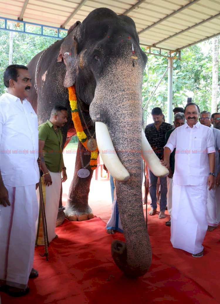 ആനയൂട്ടിൽ മുഖ്യമന്ത്രി വി.ഡി. സതീശൻ