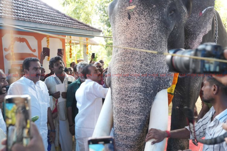 ആനയൂട്ടിൽ മുഖ്യമന്ത്രി വി.ഡി. സതീശൻ