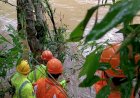 ചെറുപുഴ മീന്തുള്ളിയിൽ കാണാതായ ആർ. രാജേഷിനായി കർണാടക വനത്തിൽ തിരച്ചിൽ ഊർജിതം