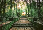 കാവ് സംരക്ഷണം ധനസഹായത്തിന് സംസ്ഥാന വനം വകുപ്പ് അപേക്ഷ ക്ഷണിച്ചു