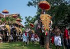 നാട്ടാനകളെ ദൈവതുല്യരായി കണ്ട് സംരക്ഷിക്കണം, വേലക്കാരായി കാണരുത് സുപ്രീം കോടതി