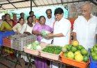 ഓണത്തിന് വിഷരഹിത പച്ചക്കറികൾ ഇനി കുറഞ്ഞ വിലയിൽ സംസ്ഥാനത്ത് 2000 ഓണസമൃദ്ധി ചന്തകൾ തുറന്നു