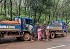 ഓണവിപണിയിൽ റെയ്ഡ് ശക്തം ചെങ്കല്ല് കടത്ത് ,ഹോട്ടലുകൾക്കും വൻ പിഴ രണ്ട് സ്ഥാപനങ്ങൾ പൂട്ടി