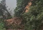 പാൽച്ചുരത്തിൽ വൻ മണ്ണിടിച്ചിൽ കണ്ണൂർ വയനാട് പാതയിൽ ഗതാഗതം പൂർണ്ണമായി തടസ്സപ്പെട്ടു