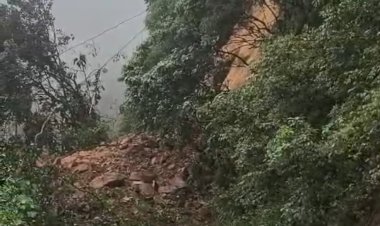 പാൽച്ചുരത്തിൽ വൻ മണ്ണിടിച്ചിൽ കണ്ണൂർ വയനാട് പാതയിൽ ഗതാഗതം പൂർണ്ണമായി തടസ്സപ്പെട്ടു