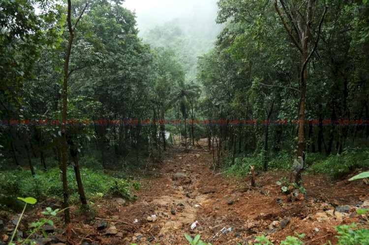 ചെറുപുഴയിലെ നാശനഷ്ടങ്ങൾ സർക്കാരിന്റെ ശ്രദ്ധയിൽ കൊണ്ടുവരുമെന്ന് മന്ത്രി സണ്ണി ജോസഫ്