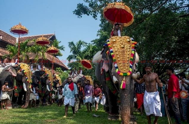 നാട്ടാനകളെ ദൈവതുല്യരായി കണ്ട് സംരക്ഷിക്കണം, വേലക്കാരായി കാണരുത് സുപ്രീം കോടതി