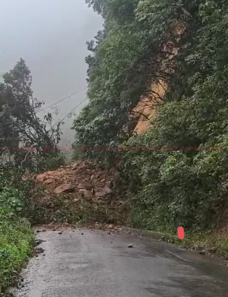 പാൽച്ചുരത്തിൽ വൻ മണ്ണിടിച്ചിൽ കണ്ണൂർ വയനാട് പാതയിൽ ഗതാഗതം പൂർണ്ണമായി തടസ്സപ്പെട്ടു