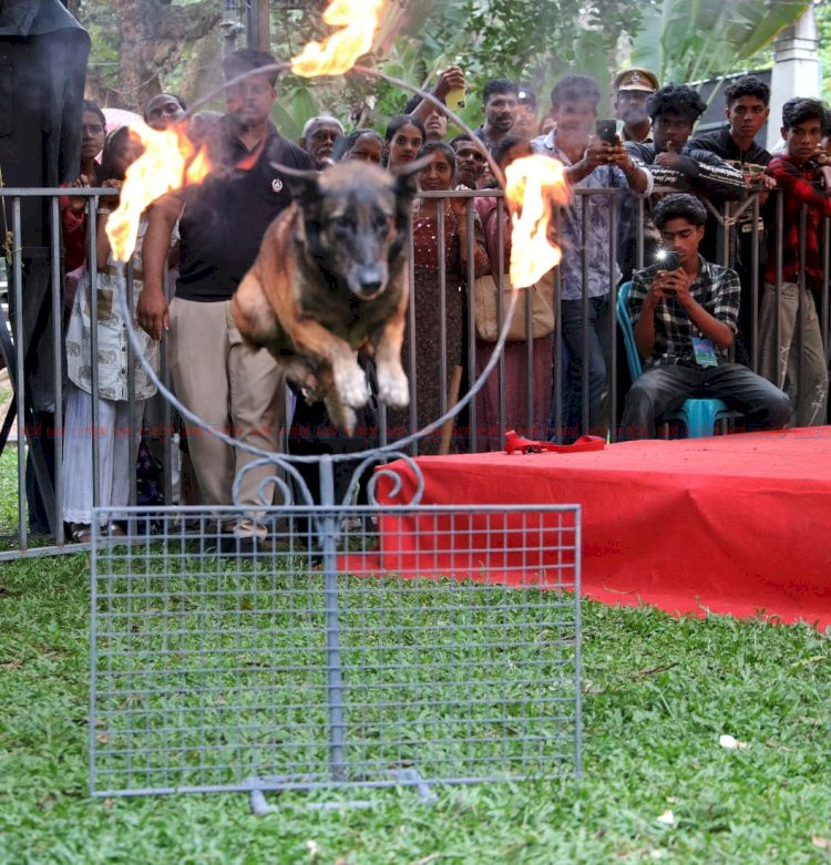 കാണികളെ കൈയിലെടുത്ത് കേരള പോലീസിന്റെ മിടുക്കന്മാർ വിസ്മയമായി ഡോഗ് സ്‌ക്വാഡ് ഷോ