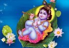 ശ്രീകൃഷ്ണജയന്തി ശോഭായാത്ര ആലുവ നഗരത്തിൽ നാളെ വൈകിട്ട് മുതൽ ഗതാഗത നിയന്ത്രണം