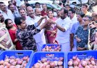 ഹോർട്ടികോർപിന്റെ സവാള വിൽപ്പനയ്ക്ക് തുടക്കം കിലോയ്ക്ക് 35 രൂപ