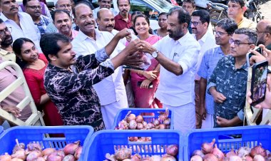 ഹോർട്ടികോർപിന്റെ സവാള വിൽപ്പനയ്ക്ക് തുടക്കം കിലോയ്ക്ക് 35 രൂപ