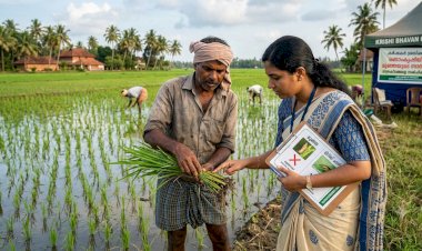 നെൽക്കർഷകർ ജാഗ്രത പാലിക്കണം രണ്ടാംകൃഷിയിൽ മുഞ്ഞയുടെ സാന്നിധ്യം