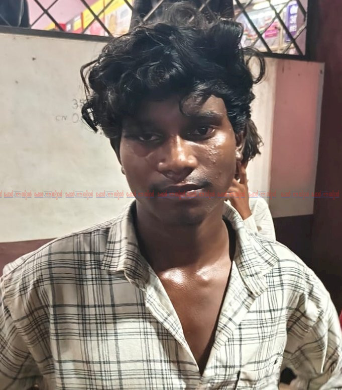 മാൻകൊമ്പും എല്ലുകളുമായി ഇതരസംസ്ഥാനക്കാരനും വധശ്രമക്കേസ് പ്രതിയും പിടിയിൽ