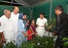 ​അഞ്ച് സെന്റിൽ കാർഷിക വിപ്ലവം മാതൃകാ കുട്ടി കർഷകരെ വീട്ടിലെത്തി അഭിനന്ദിച്ച് കൃഷിമന്ത്രി ടി. സിദ്ദിഖ്
