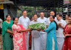 പോത്താനിക്കാട് ഗ്രാമപഞ്ചായത്തിൽ പച്ചക്കറി തൈകളുടെ വിതരണ ഉദ്ഘാടനം നിർവഹിച്ചു