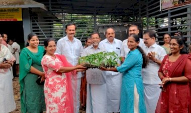 പോത്താനിക്കാട് ഗ്രാമപഞ്ചായത്തിൽ പച്ചക്കറി തൈകളുടെ വിതരണ ഉദ്ഘാടനം നിർവഹിച്ചു