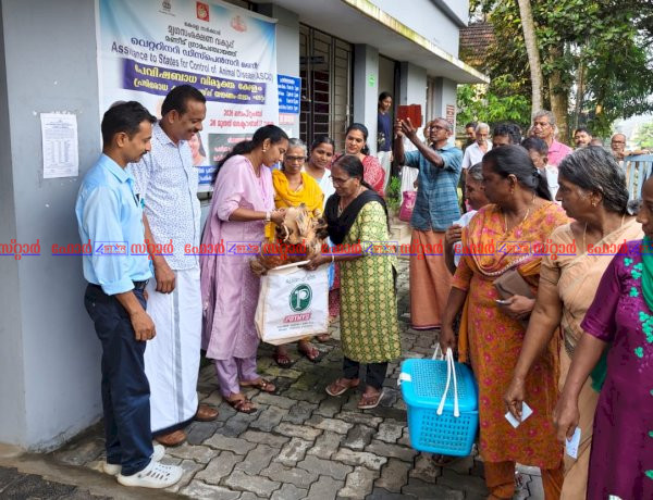 മണീട് ഗ്രാമപഞ്ചായത്തിൽ മുട്ടക്കോഴി വിതരണ പദ്ധതി നടപ്പിലാക്കി