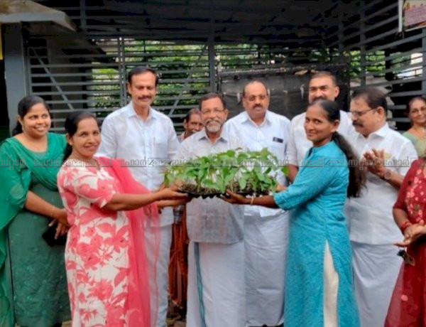 പോത്താനിക്കാട് ഗ്രാമപഞ്ചായത്തിൽ പച്ചക്കറി തൈകളുടെ വിതരണ ഉദ്ഘാടനം നിർവഹിച്ചു